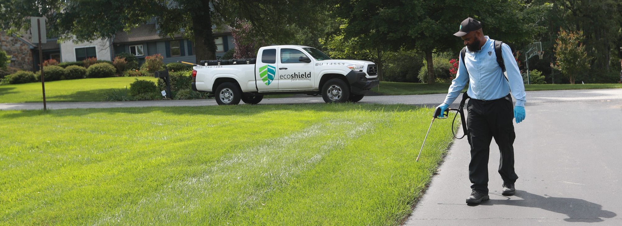 Pest Shield - Pest Control