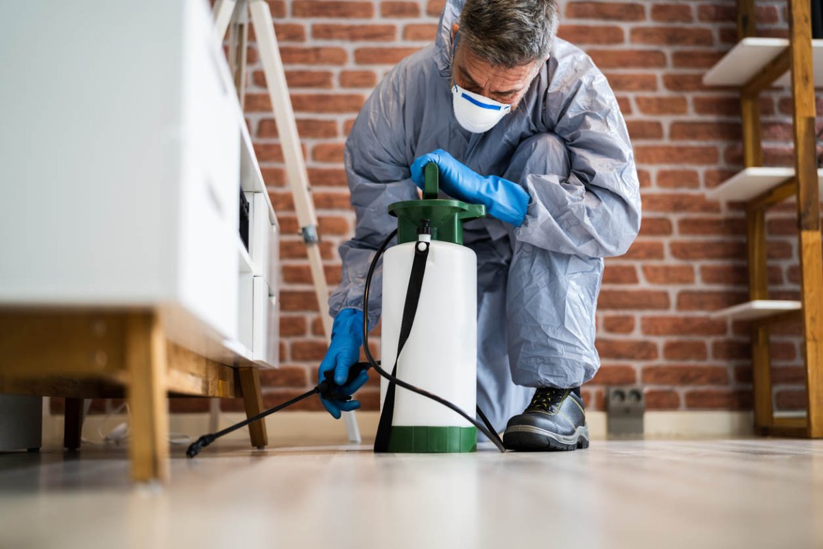 Pest Shield - Pest Control